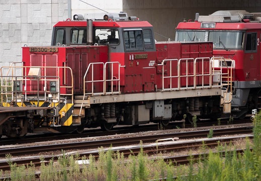 202010161307-DSC03655RX10M4.jpg