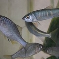 202010161507-DSC03888RX10M4.jpg