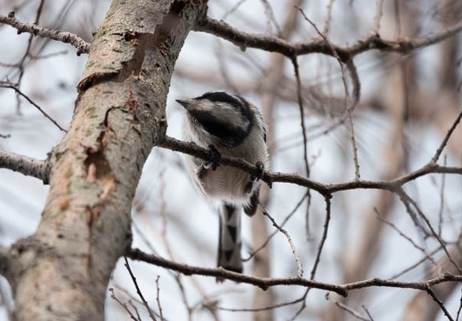 202010171454-DSC04266RX10M4.jpg