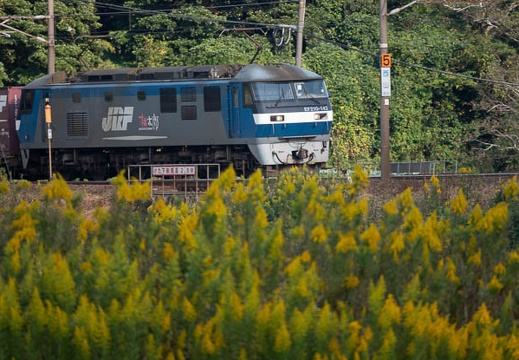 202010171517-DSC04303RX10M4.jpg