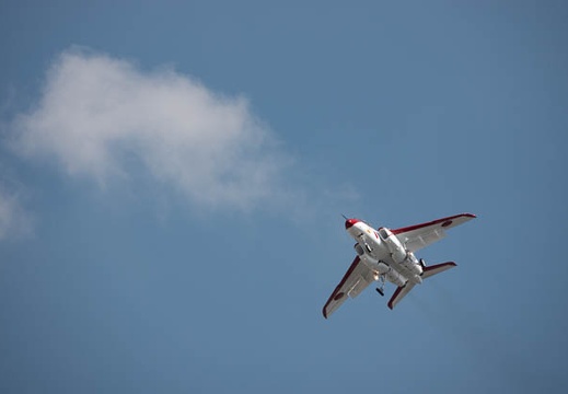 202010191143-DSC05564.jpg