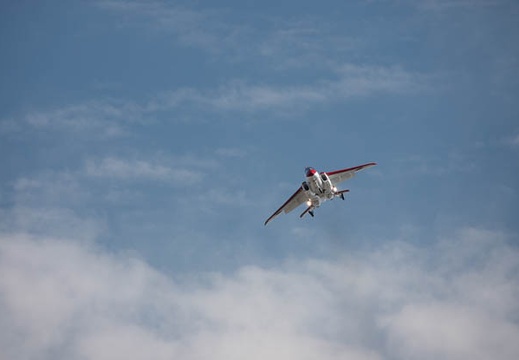202010191157-DSC05656.jpg