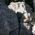 202010201407-DSC07096RX10M4.jpg