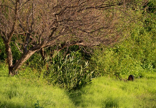 202010231644-DSC08116RX10M4.jpg