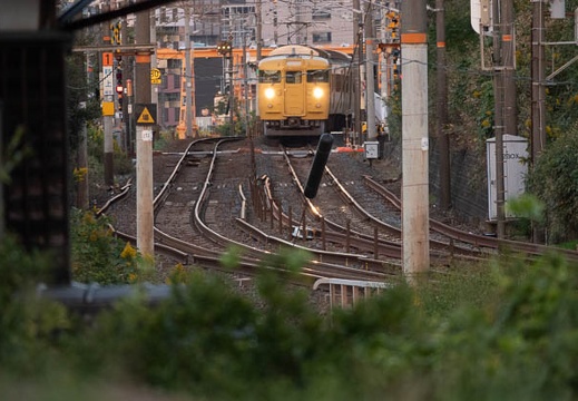 202010231712-DSC08250RX10M4.jpg