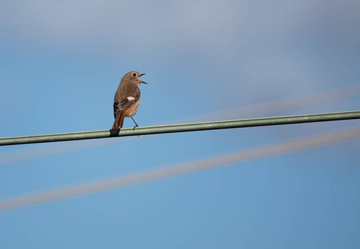 202010240828-DSC08317RX10M4.jpg