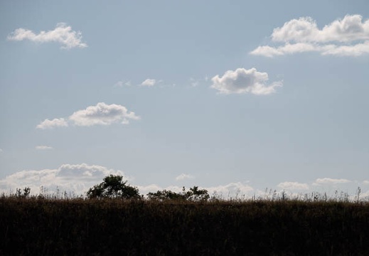 202010240920-DSC08468RX10M4.jpg