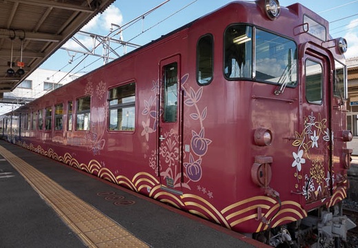 202010240930-DSC08527RX10M4.jpg