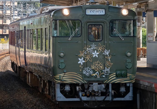 202010240934-DSC08543RX10M4.jpg