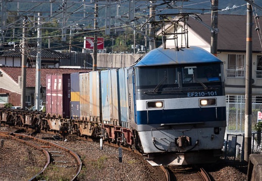 202010240934-DSC08547RX10M4.jpg