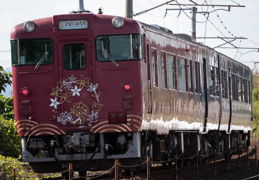 202010240946-DSC08591RX10M4.jpg