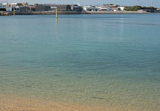 202010261157-DSC00230RX10M4.jpg