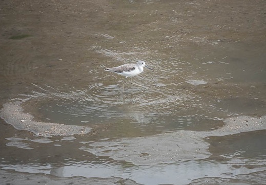202010281209-DSC01569RX10M4.jpg