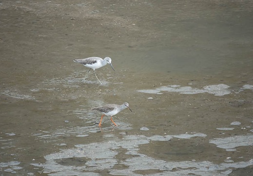202010281210-DSC01588RX10M4.jpg