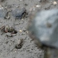 202010281330-DSC01800RX10M4.jpg