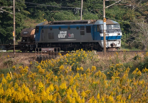 202011011449-DSC02123RX10M4.jpg