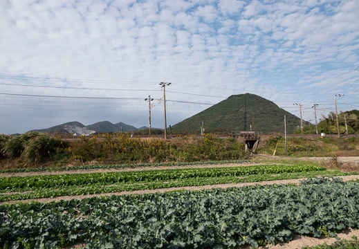 202011011456-DSC02139RX10M4.jpg