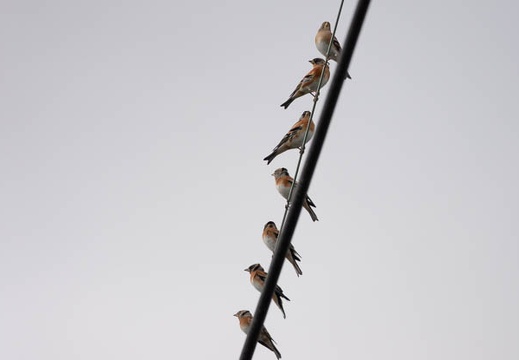 202011011530-DSC02241RX10M4.jpg