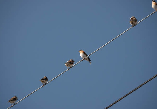 202011031135-DSC02619RX10M4.jpg