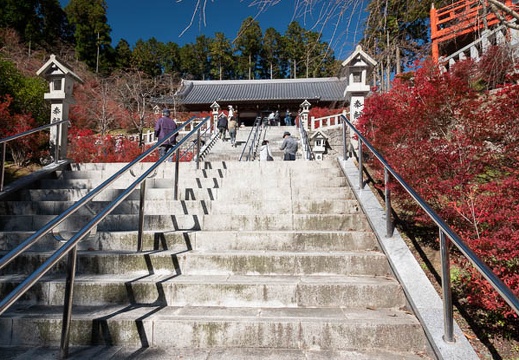 202011041216-DSC02930RX10M4.jpg