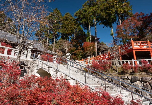 202011041252-DSC03058RX10M4.jpg