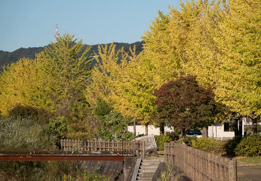 202011041533-DSC03489RX10M4.jpg