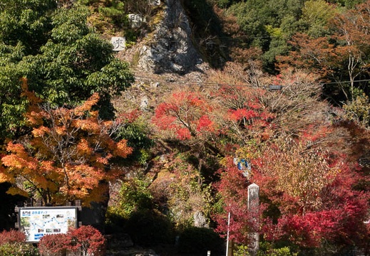 202011051200-DSC03607RX10M4.jpg