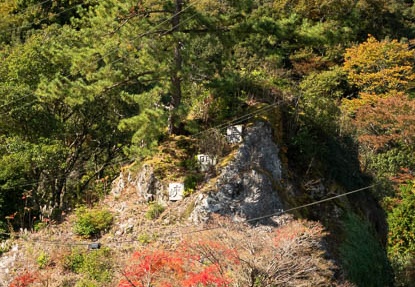202011051201-DSC03610RX10M4.jpg