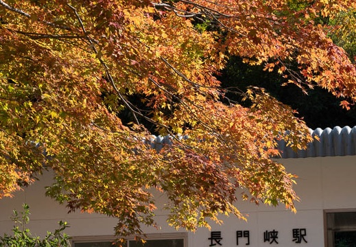 202011051219-DSC03690RX10M4.jpg
