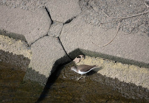 202011061303-DSC04196RX10M4.jpg