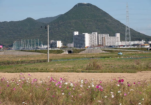 202011061310-DSC04218RX10M4.jpg