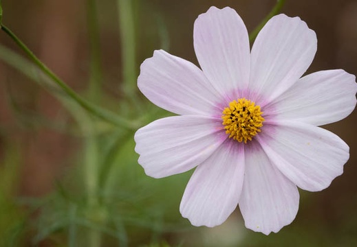 202011071520-DSC04619RX10M4.jpg