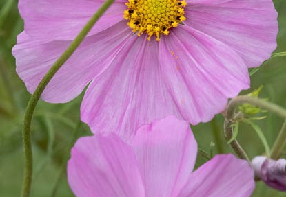 202011071528-DSC04632RX10M4.jpg