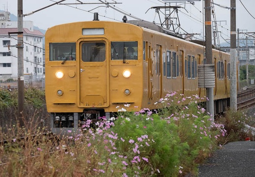 202011071603-DSC04684RX10M4.jpg