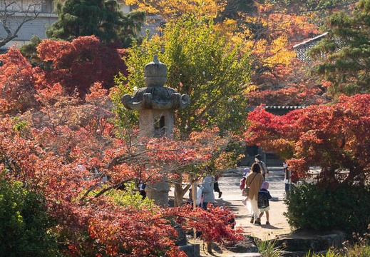 202011131026-DSC04789RX10M4.jpg