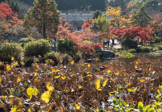 202011131026-DSC04791RX10M4.jpg