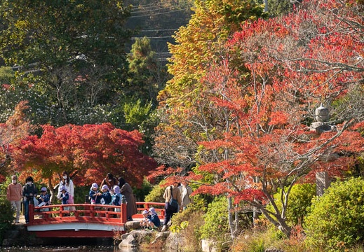 202011131030-DSC04799RX10M4.jpg