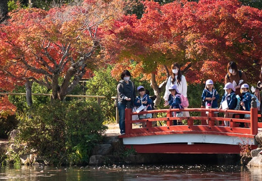 202011131030-DSC04801RX10M4.jpg