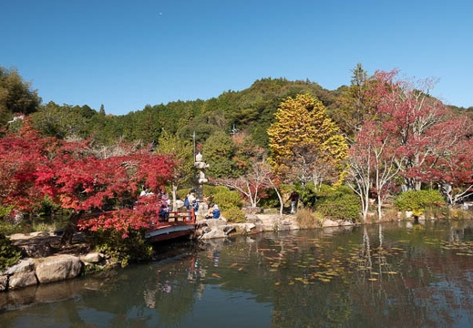 202011131033-DSC04806RX10M4.jpg