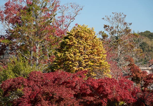 202011131036-DSC04814RX10M4.jpg