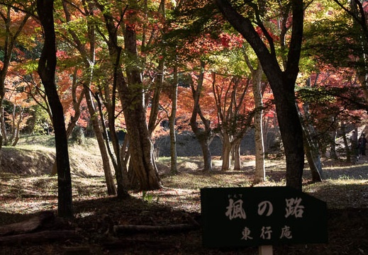 202011131054-DSC04899RX10M4.jpg