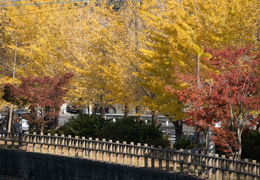 202011141316-DSC05662RX10M4.jpg