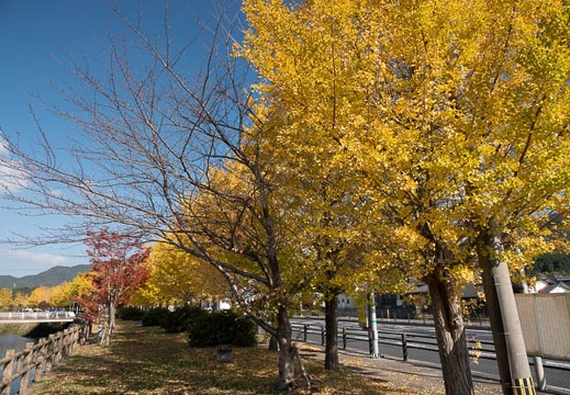 202011141321-DSC05693RX10M4.jpg