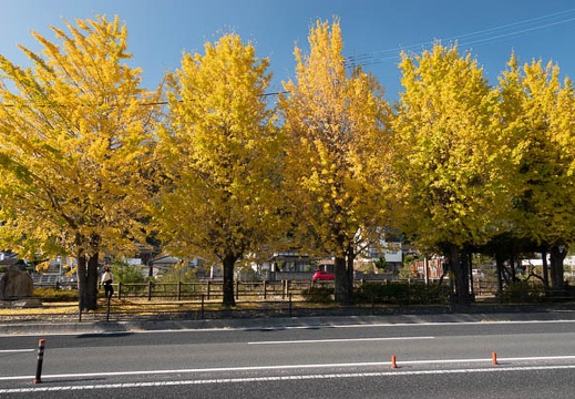 202011141334-DSC05769RX10M4.jpg
