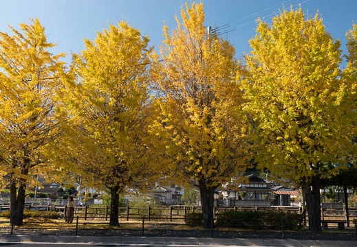 202011141335-DSC05774RX10M4.jpg