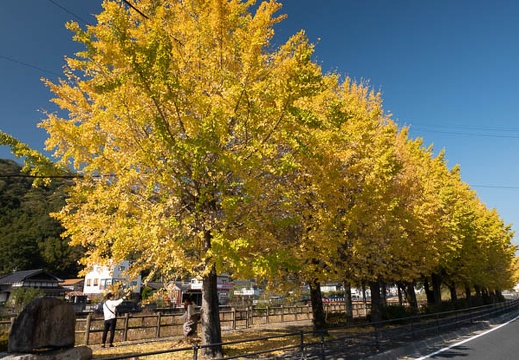 202011141337-DSC05784RX10M4.jpg