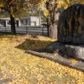 202011141404-DSC05910RX10M4.jpg
