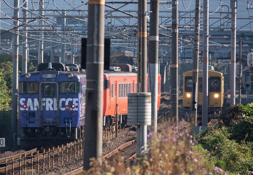 202011150934-DSC06248RX10M4.jpg