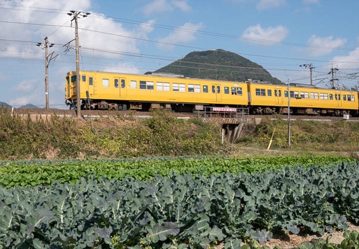 202011151110-DSC06347RX10M4.jpg