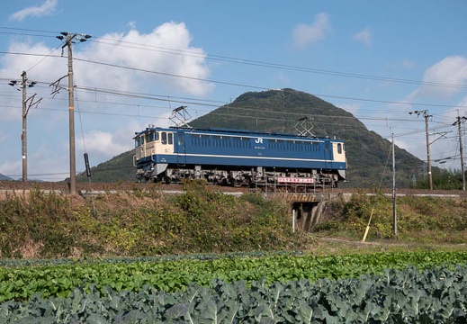 202011151117-DSC06356RX10M4.jpg